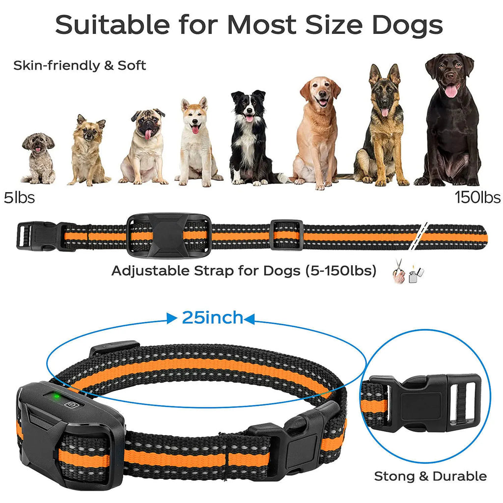 Electric Dog Training Collar Remote