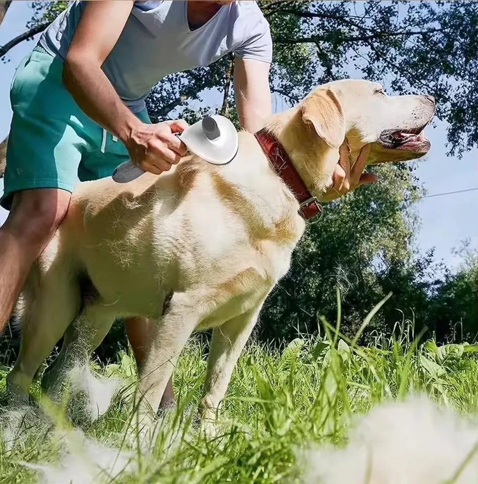 pet groming brush for dogs and cats