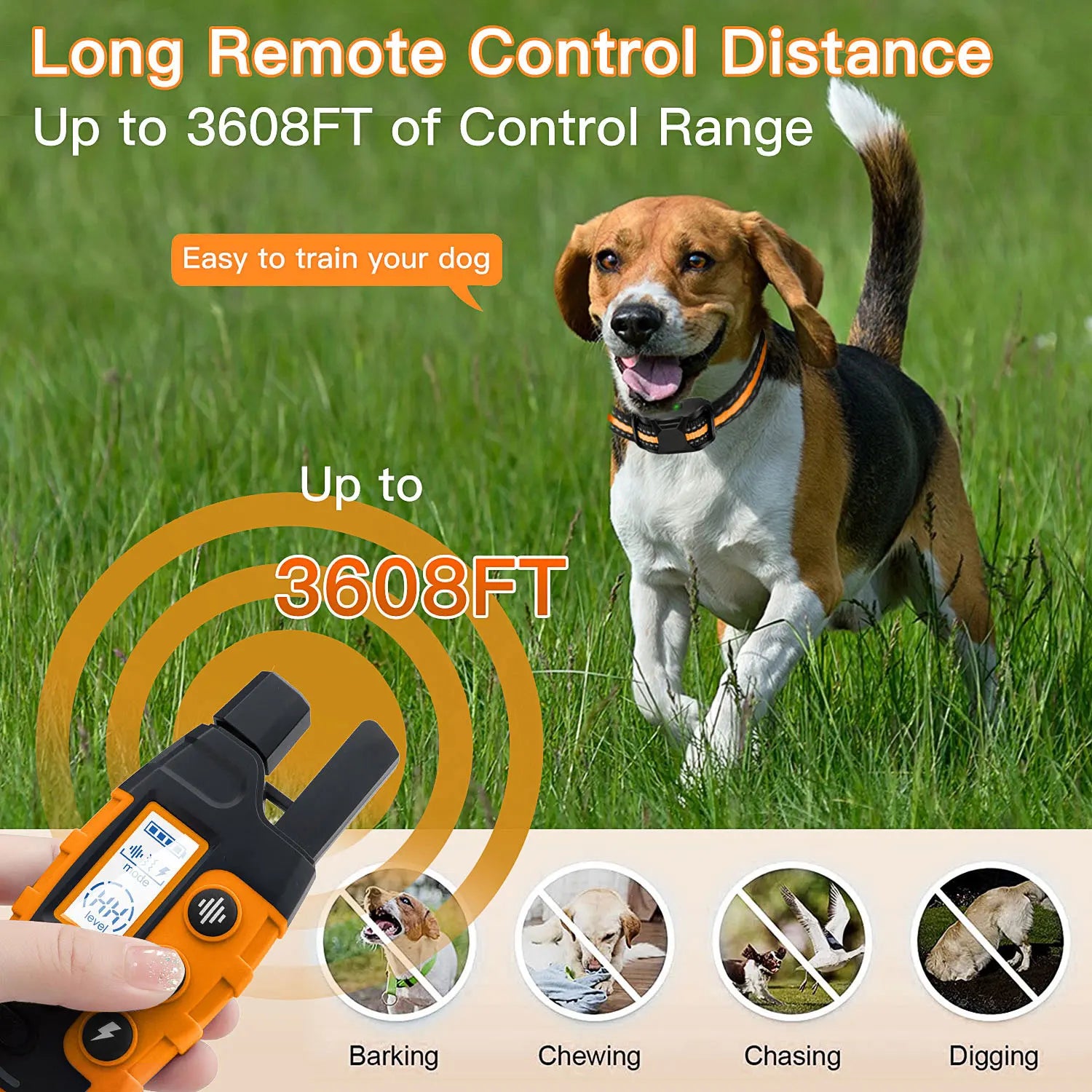 Electric Dog Training Collar Remote