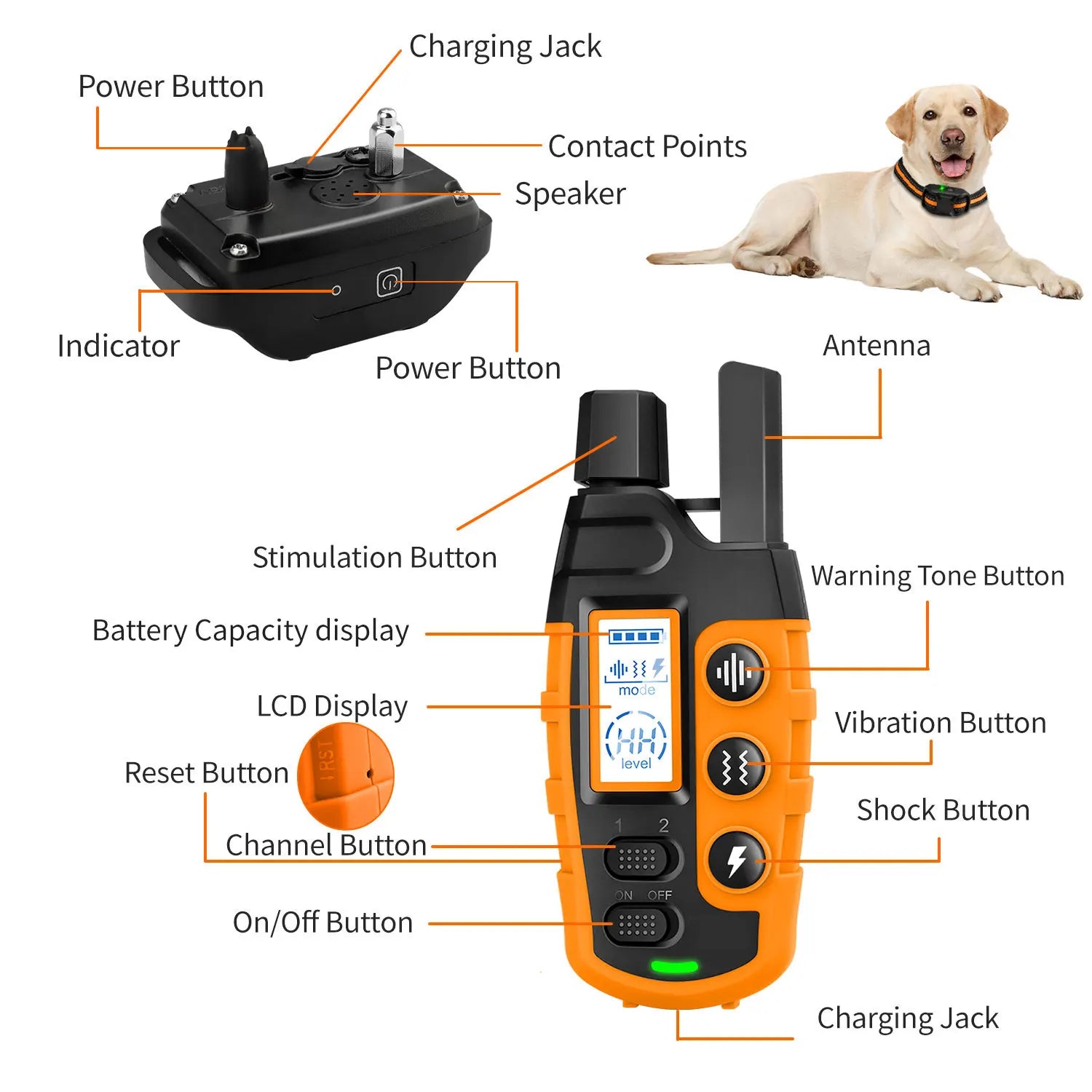 Electric Dog Training Collar Remote