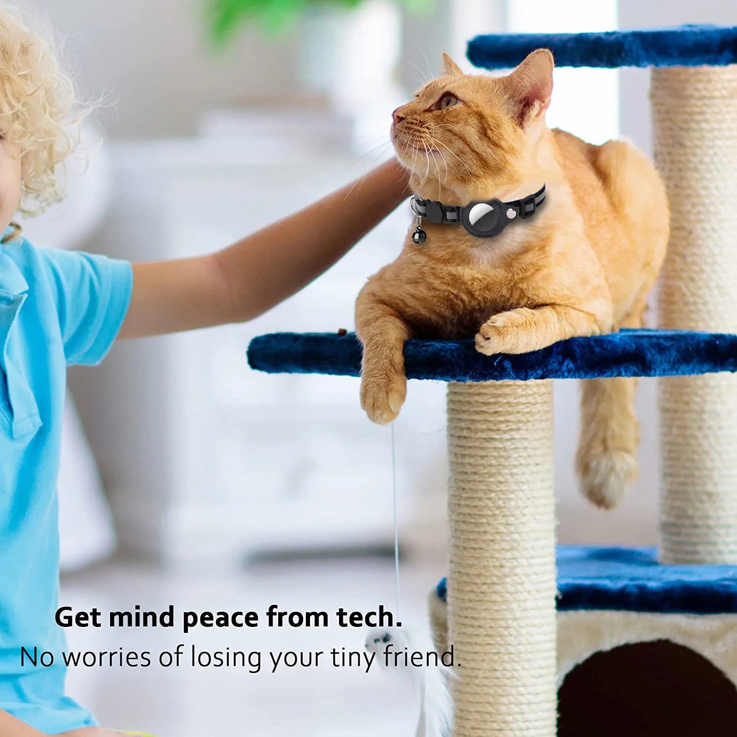 smart cat collar